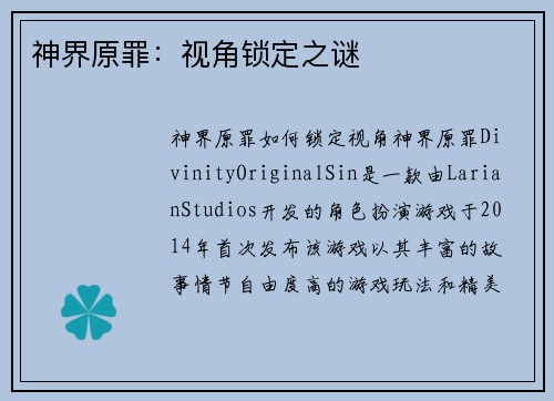 神界原罪：视角锁定之谜